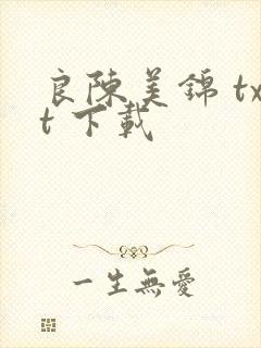 良陈美锦 txt 下载封面