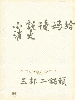 小说后妈给我消消火