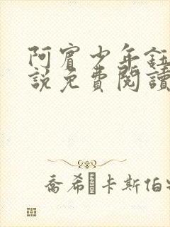 阿宾少年钰慧小说免费阅读笔趣阁