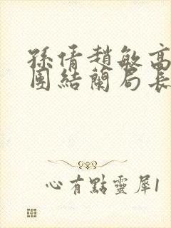 孙倩赵敏高义大团结兰局长