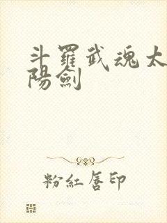 斗罗武魂太极阴阳剑