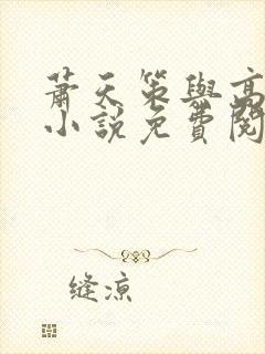 萧天策与高薇薇小说免费阅读无弹窗笔趣阁封面