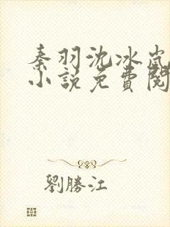 秦羽沈冰岚穿越小说免费阅读