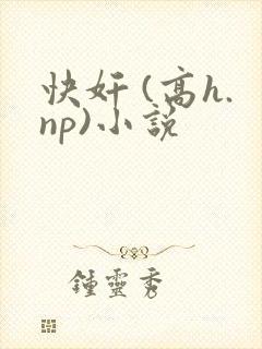 快奸 (高h.np)小说