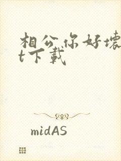 相公你好坏txt下载