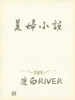 美妇小说封面