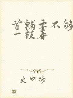 首辅要不够po一枝春