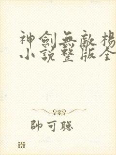 神剑无敌杨小天小说整版全文下载