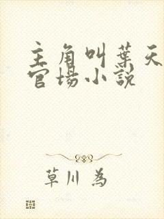 主角叫叶天生的官场小说