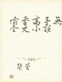 偷香高手无删减全文小说