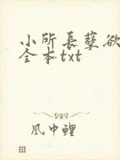 小所长孽欲涅盘全本txt