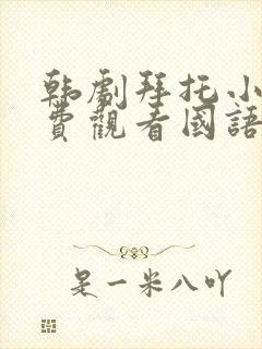 韩剧拜托小姐免费观看国语版全集