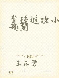 背后进攻小说笔趣阁