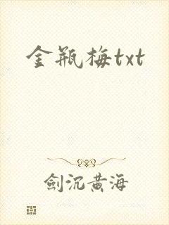 金瓶梅txt封面