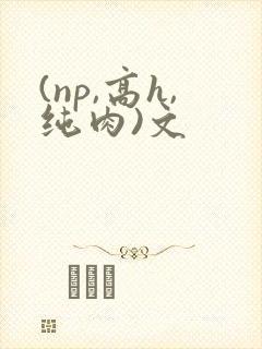 (np,高h,纯肉)文