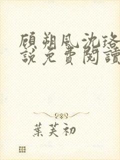 顾朔风沈珞舒小说免费阅读最新章节