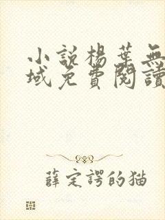 小说杨叶无敌剑域免费阅读