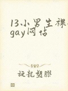 13小男生裸体gay网站