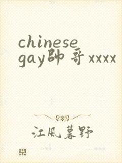 chinesegay帅哥xxxx封面
