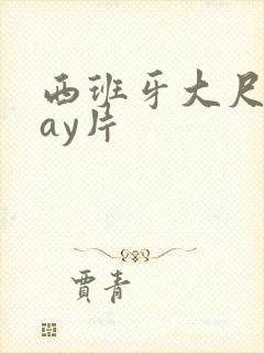 西班牙大尺度gay片