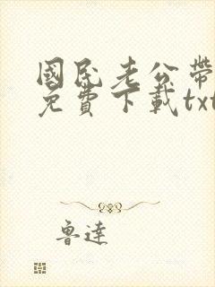 国民老公带回家免费下载txt封面