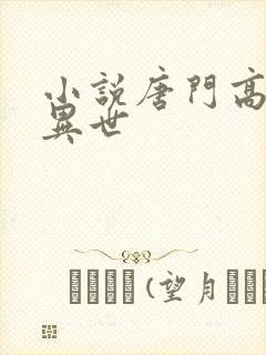 小说唐门高手在异世封面