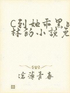 C到她乖黑暗森林的小说免费