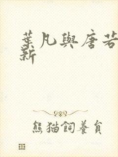 叶凡与唐若雪最新封面