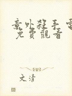 意外杀手 电影 免费观看