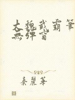 大魏武霸笔趣阁无弹窗