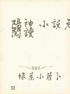 阳神 小说免费阅读