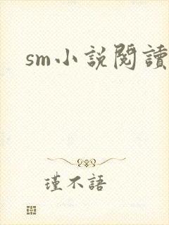 sm小说阅读封面