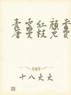 青云红颜香陈言唐曼枝免费阅读笔趣阁封面