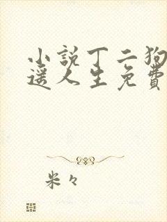 小说丁二狗的逍遥人生免费阅读