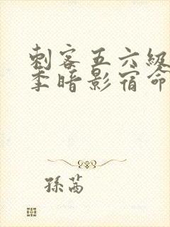 刺客五六级第四季暗影宿命免费观看