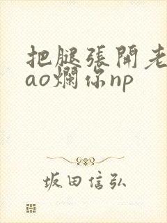 把腿张开老子cao烂你np