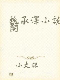 魏承泽小说笔趣阁