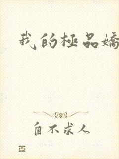 我的极品娇妻