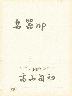 名器np