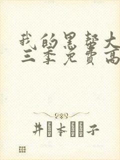 我的黑帮大佬第三季免费高清