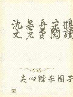 沈晏舟宋鹤眠全文免费阅读