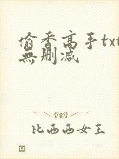 偷香高手txt无删减