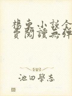 杨东小说全文免费阅读无弹窗