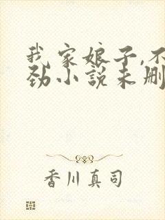 我家娘子,不对劲小说未删版全文