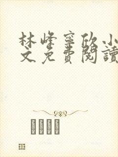 林峰宁欣小说全文免费阅读笔趣阁封面