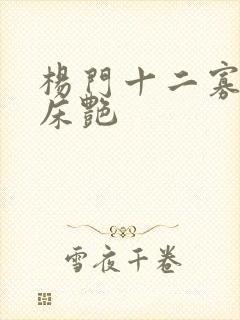 杨门十二寡妇肉床艳