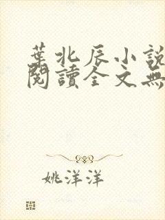 叶北辰小说免费阅读全文无弹窗封面