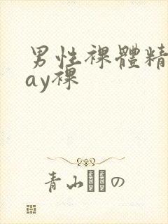 男性裸体精光gay裸