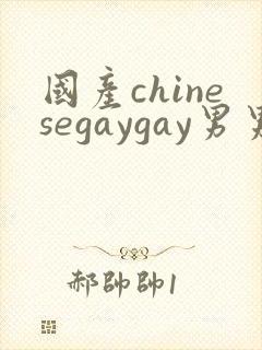 国产chinesegaygay男男网站