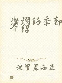 灿烂的季节剧情介绍